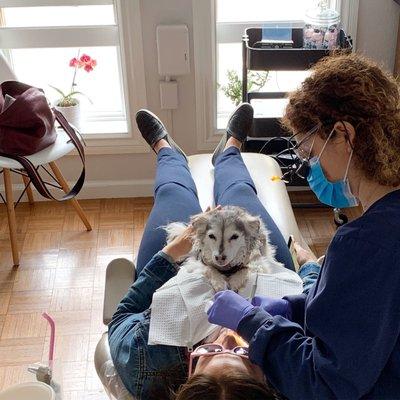 Penelope, our therapy dog, is available to help relieve anxiety