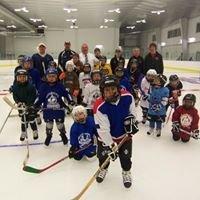 Micro Hockey