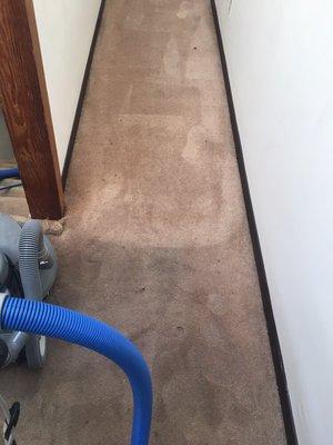 10 year old carpet that hasn't been cleaned in 4-5 years.