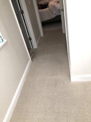 MB Prestige Carpet & Upholstery Cleaning