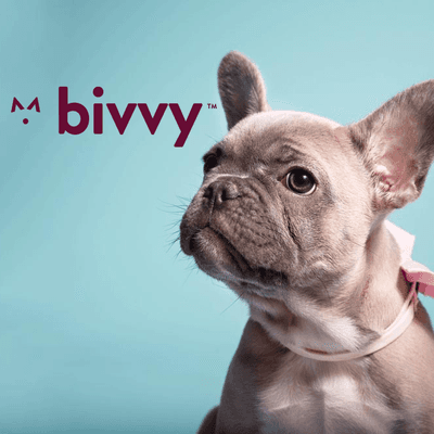 Bivvy Pet Insurance - https://bivvy.com