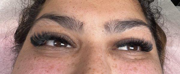 Eyelashes extensions mega volume