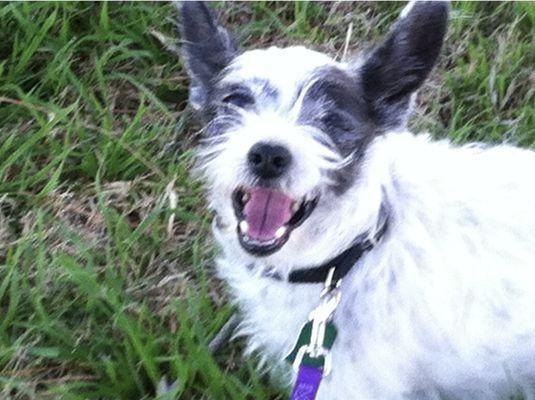 Binky loved her walks.