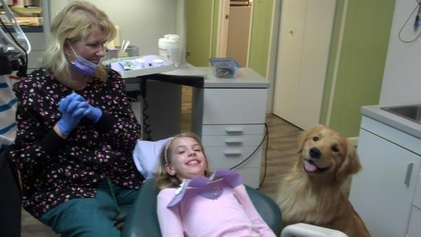 Destin the Dental Comfort Dog hard at work