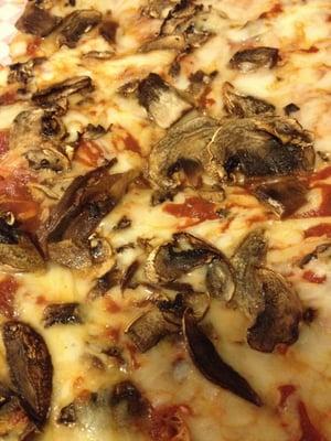 Mushroom pizza