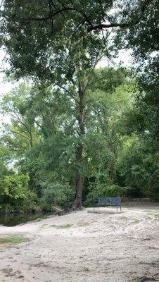 a bench in the shade overlooking the park and the pond underneath a few large trees