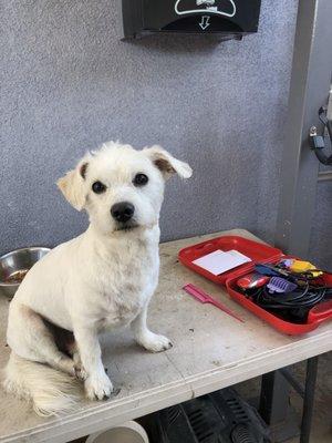 Yo lo arregle de su carita porque ellos por primera vez no le cortaron nada en su cara