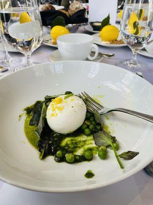 Burrata  Peas, Basil Pesto & Sorrento Lemon