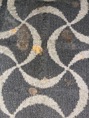 Puke on carpet