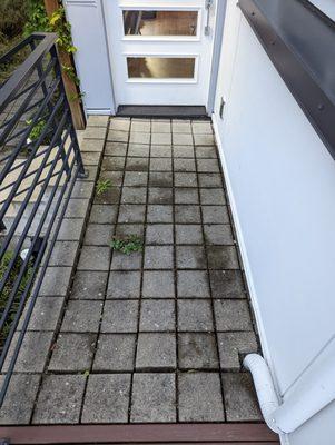 Sunken pavers creating a tripping hazard