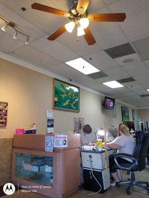 Ceiling fan and beautiful fish painting that created a conversation piece about See Quest.