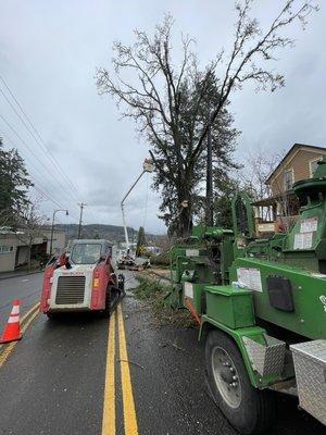 Storm Damage pruning and cut limbs overhanging onto a main roadway.