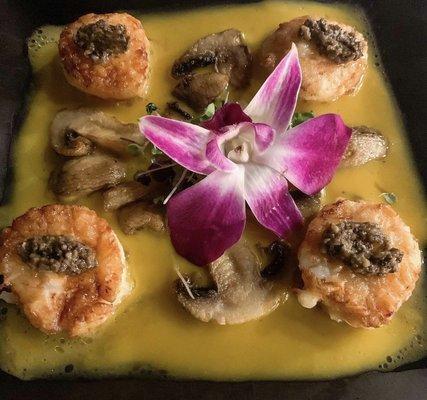 Special Scallops App