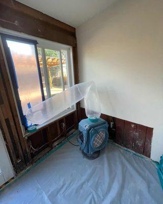 Water / 
Mold Remediation