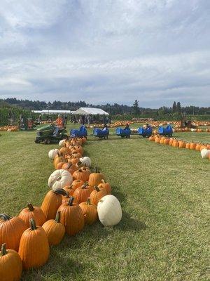 Tractor train ride