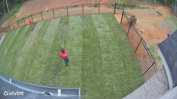 Sod, fencing, French drain