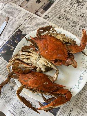 Steamed Crabs