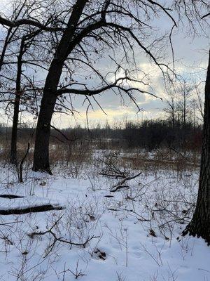 Winters day hike on the Oak Savannah trail