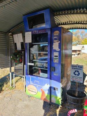 The vending machine. Accepts cards. Has eggs and honey.