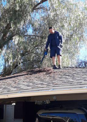 Roof Cleaning