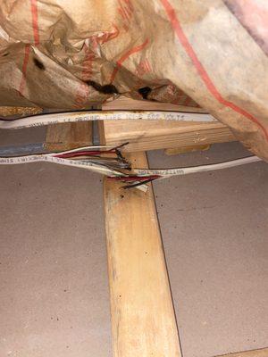 Matthew the electrician saw this live wire in my attic..would've caught the insulation or wood on fire down the line. Matthew is the best!