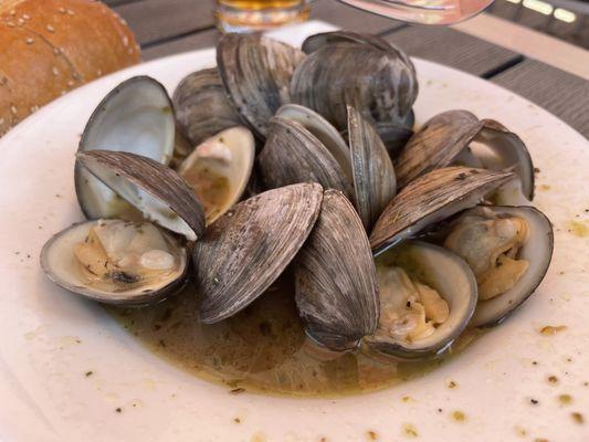 Steamed Little Neck Clams weren't great - WAY too salty, and not much flavor other than salt