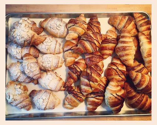 Fresh baked croissants