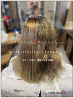 Super Silky JHS on 3 times bleached hair for $940.