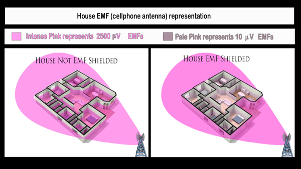 Representation of a house shielded from EMFs vs a house not shielded