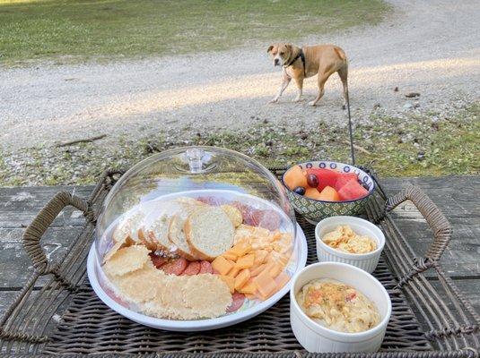 Campsite Crudite!