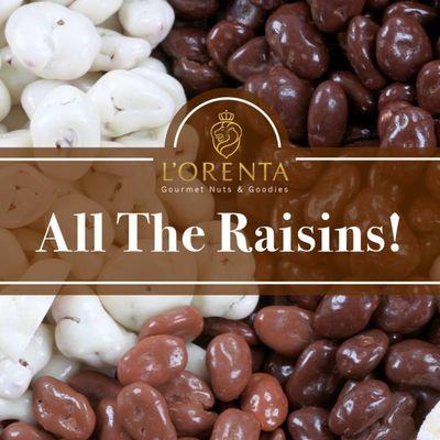 L'Orenta Nuts Gourmet Chocolate Covered Raisins San Antonio