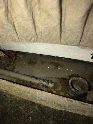 Water accumulation in the A/C unit after a month of several complaints and no attention given.