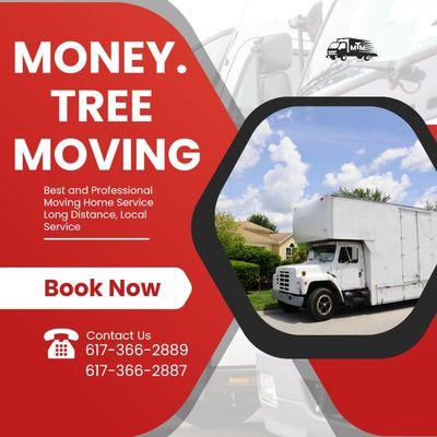 Money Tree Moving