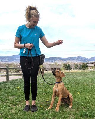 Terroux Dog Training