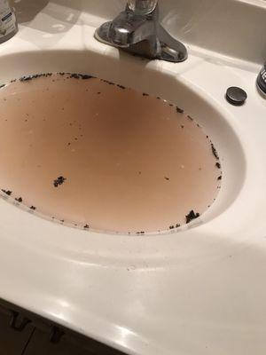 Sink stopped up and slow drain. Took 3 days for repair due to no supplies on hand.