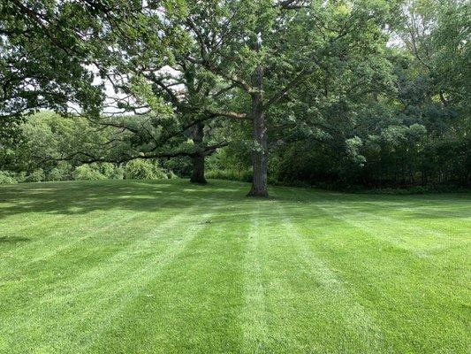 Beautiful, healthy turf!  Our programs not only feed the grass, but also build the soil for long lasting return on your investment.