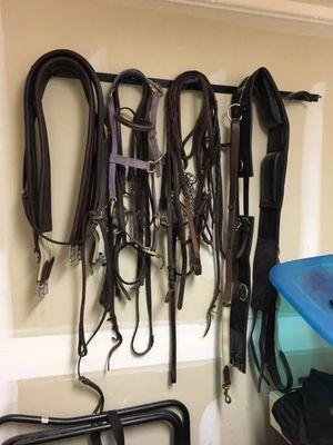 Small portion of tack.