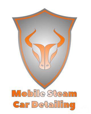 Mobile Steam Car Detailing