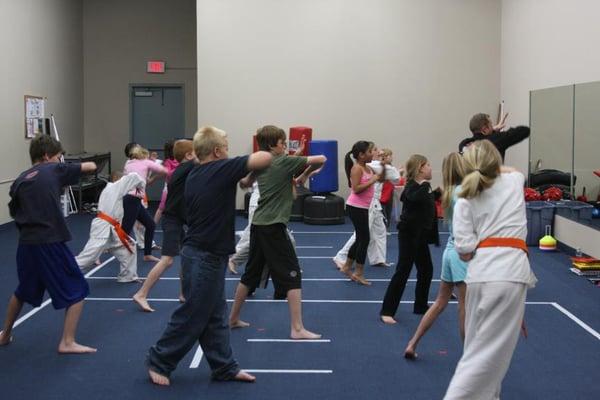 Wushin Martial Arts