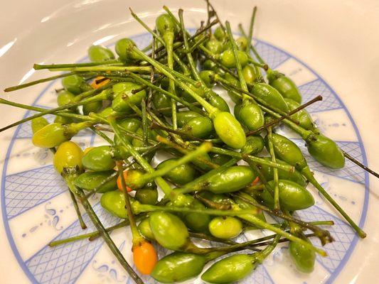 Tiny short chili peppers (chiltepin?)