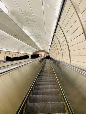 Down the long escalator