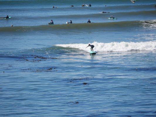 Surf School Santa Cruz