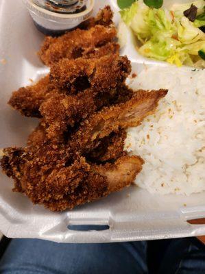 Over cooked seaseme chicken mushy rice and hot salad