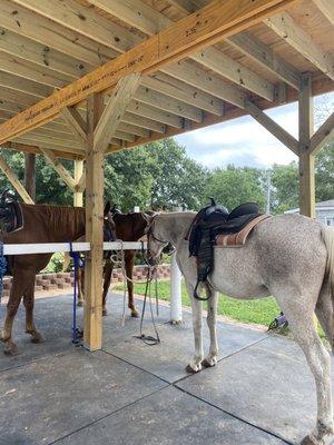 Saddle Creek Stables