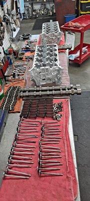 5.0L "Coyote" Cylinder heads