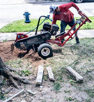 Torres Tree Service