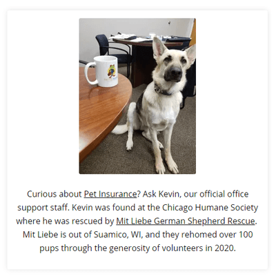 Kevin started his role as protector for late business hours and has devolved into the greeter and now finally the "office gossip".