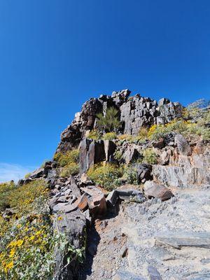 Hiking the the peak/Sumit Trail