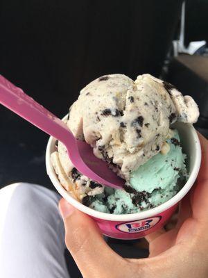 Cookies & Cream + Mint Chocolate Chip in a cup