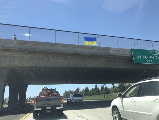 All of the freeway overpasses between here and Ventura are sporting Ukrainian flags.